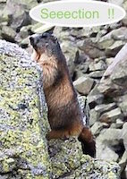 Avatar de l’utilisateur